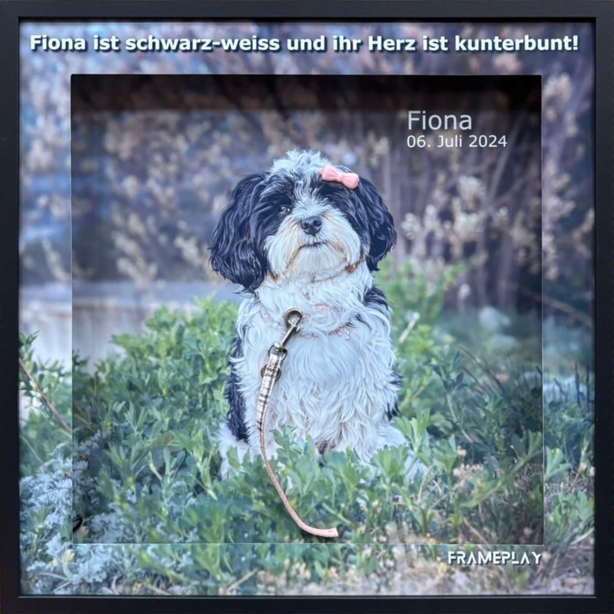 Fiona, buntes Herz