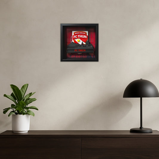 FC Thun – Skyline 3D