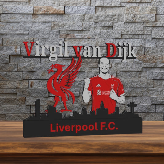 Virgil van Dijk | 3D-Kunstwerk